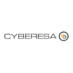 Cyberesa